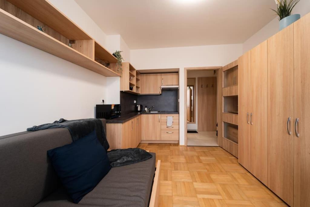 Studio Apartment In Brno-Center Dış mekan fotoğraf