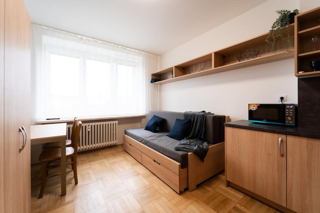 Studio Apartment In Brno-Center Dış mekan fotoğraf